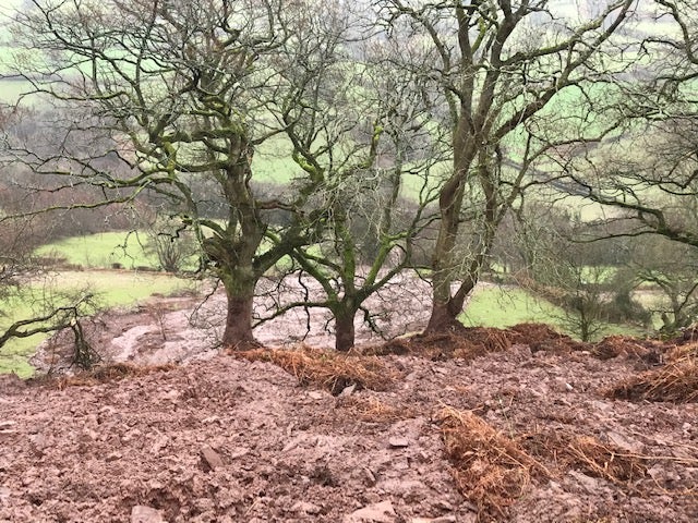 LandSLIP 2